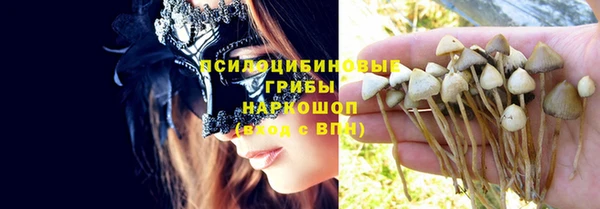 мдпв Абинск
