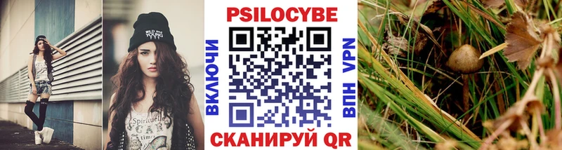 Псилоцибиновые грибы Psilocybine cubensis  купить наркотик  Абаза 