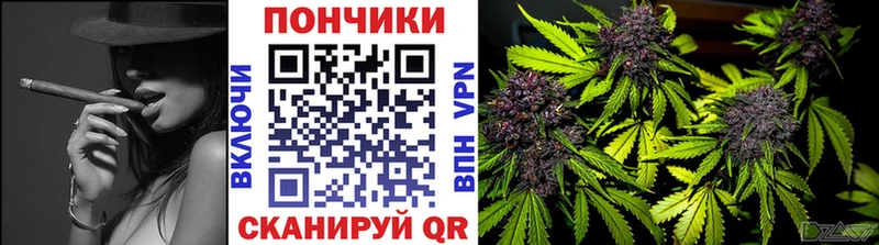 Бошки марихуана индика  Абаза 